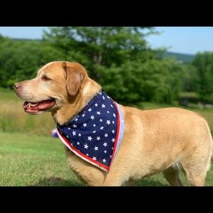 Meet your Posher, Regina